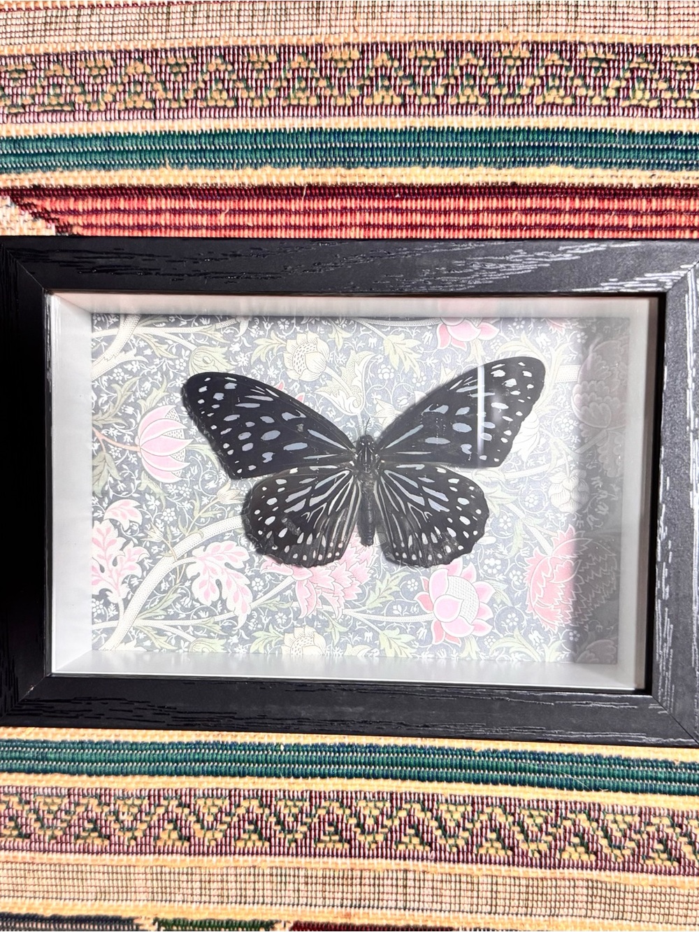Framed Black Butterfly Wall Art - Black